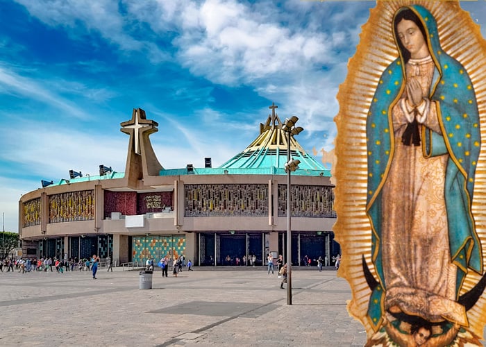 Home virgen-de-guadalupe-ok
